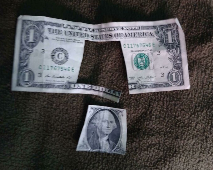 “Cháu tôi muốn có một bức chân dung của cựu Tổng thống Mỹ George Washington”, người đăng bức hình viết.