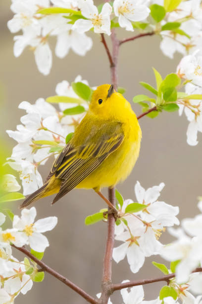 Nhung dua tre sinh ngay Am lich nay thong minh, may man ca doi-Hinh-2