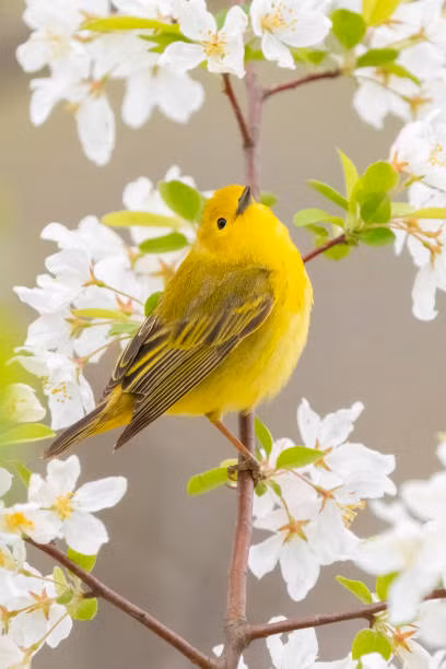 Nhung dua tre sinh ngay Am lich nay thong minh, may man ca doi-Hinh-2