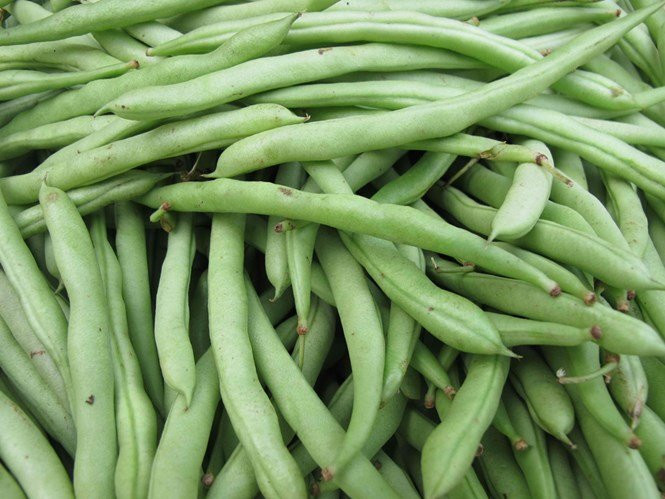 4: Đậu đỗ: Đậu đỗ là loại thực phẩm có hàm lượng dinh dưỡng cao, đặc biệt tốt cho người bị tiểu đường muốn kiểm soát mức đường huyết và cân nặng. Người bệnh có thể trộn chung đậu đỗ, đỗ xanh, đỗ đỏ, đỗ tương nguyên vỏ cùng với gạo trắng hoặc gạo lứt... để làm thành món ăn tốt cho sức khỏe.