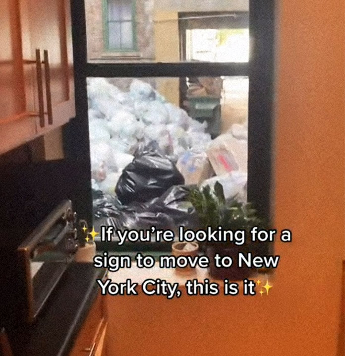 Căn hộ chỉ có một cửa sổ duy nhất và view của cửa sổ nhìn ra một khoảng sân…ngập rác.