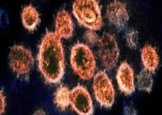 Tổ chức Y tế Thế giới (WHO) đang theo dõi sát sao và mở cuộc họp đặc biệt vào ngày 26/11 để thảo luận về tác động tiềm tàng của biến chủng này tới vắc xin và phương pháp điều trị. Ảnh: Mint.