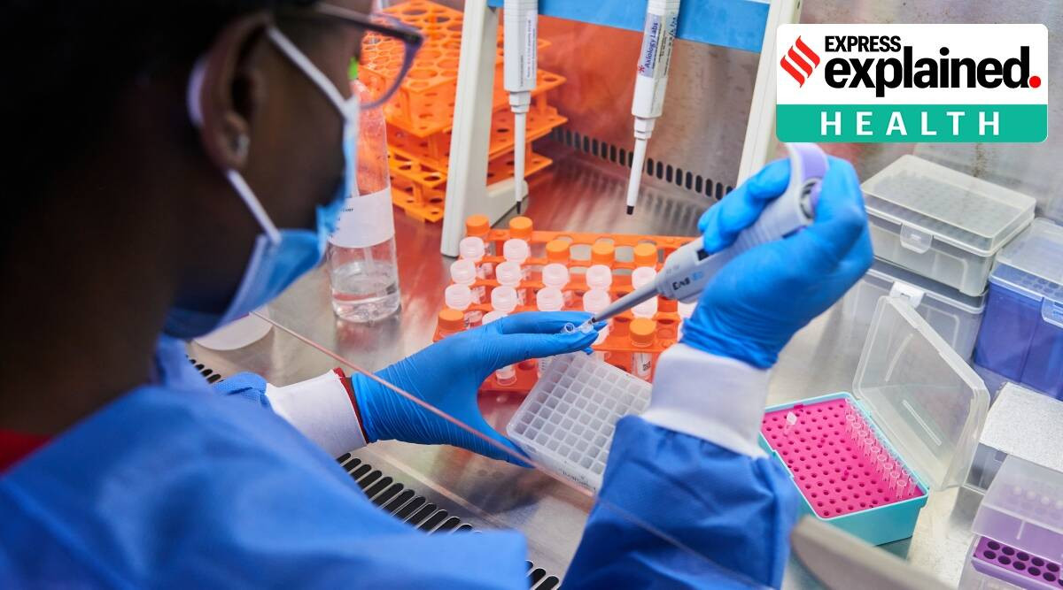 Các đột biến protein gai có thể ảnh hưởng tới khả năng nhiễm bệnh và tốc độ lây lan của virus, cũng như khiến tế bào miễn dịch khó tấn công mầm bệnh hơn. Ảnh: EE.