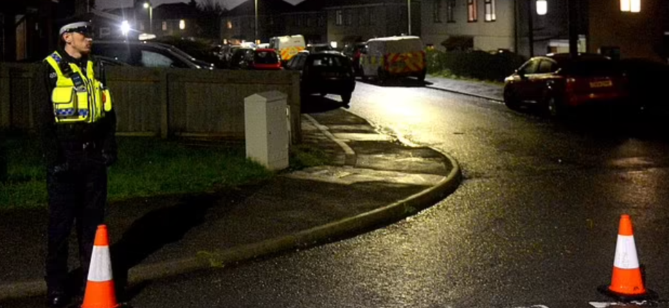 Một người hàng xóm có mặt tại hiện trường sốc trước vụ việc: "Tôi chưa bao giờ chứng kiến điều gì kinh khủng như vậy trong đời". Ảnh: Daily Mail.