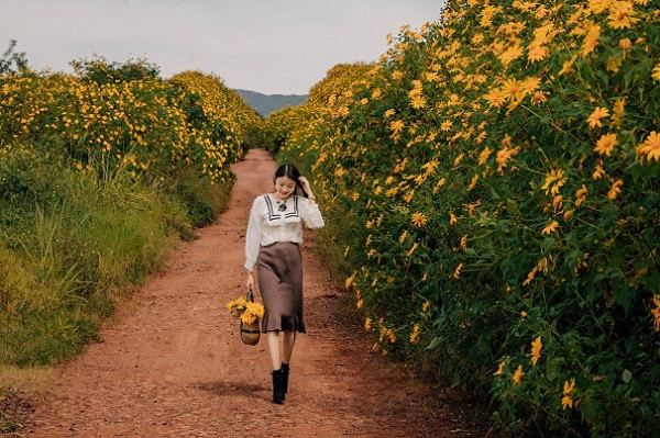 Ở Việt Nam, dã quỳ ra hoa báo hiệu một mùa khô sắp đến. Thời điểm đẹp nhất để ngắm cung đường hoa dã quỳ là vào buổi sáng sớm hoặc chiều tà, bởi tiết trời lúc này dịu nhẹ, dưới ánh nắng, hoa dã quỳ càng trở nên lung linh.