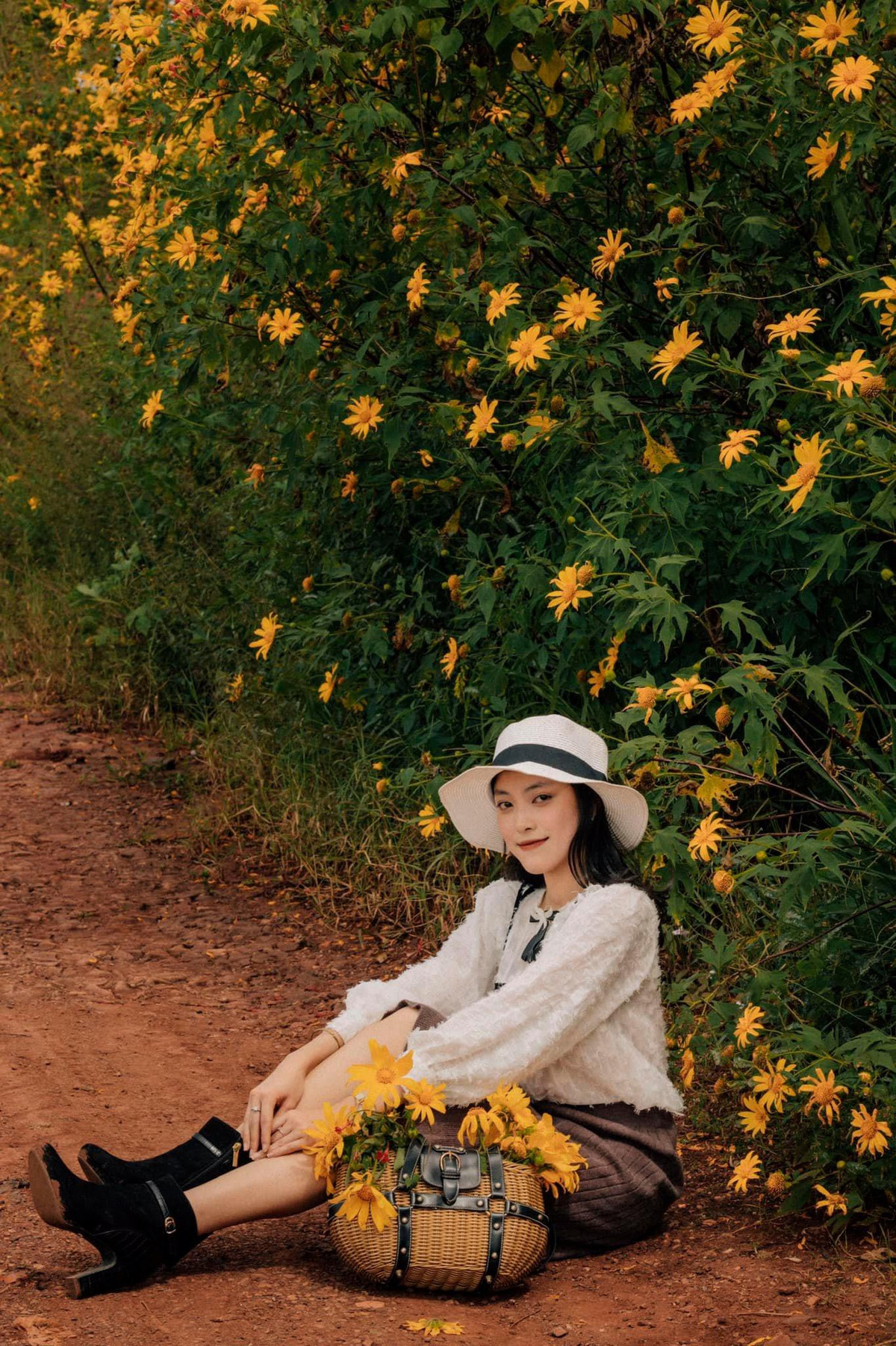 Dã quỳ thường nở vào cuối tháng Mười đầu tháng Mười Một. Hoa nở rộ, đẹp nhất trong khoảng từ 2 - 3 tuần. Vì thế, nhiều bạn trẻ đã tranh thủ thời gian đi ngắm và lưu lại những bức hình đẹp trước khi mùa hoa đi qua.