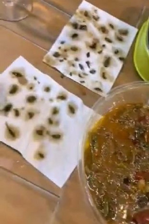 Tuy nhiên, khi đang ăn, một người bạn của cô nói rằng có một con gián chết trong thức ăn. Họ kiểm tra kỹ hơn và phát hiện nhiều xác gián bên trong đĩa vịt. Ảnh: Mirror.
