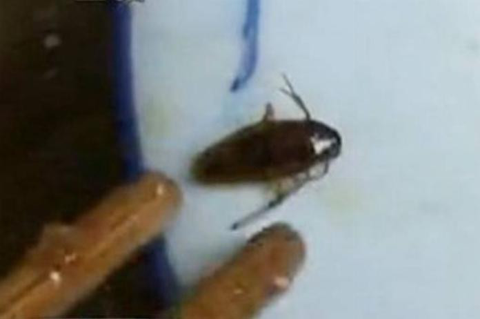 Sau đó, ông bố được cho là đã báo sự việc với cơ quan y tế và cơ quan an toàn thực phẩm địa phương. Ảnh: Metro.