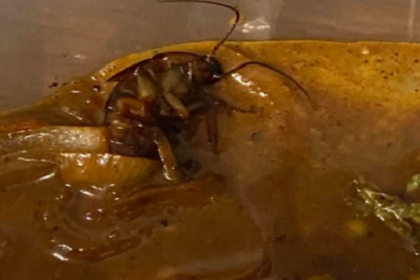 Nhà chức trách Trung Quốc ngày 4/11 cho biết thêm, không có cuộc điều tra nào được tiến hành. Ảnh: MC.