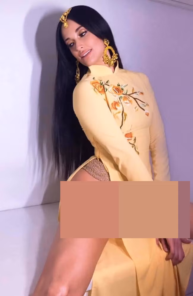 Công chúng thể hiện sự bất bình, không hài lòng với cách ăn mặc trên và khẳng định đây là hành động bôi nhọ trang phục truyền thống Việt Nam.