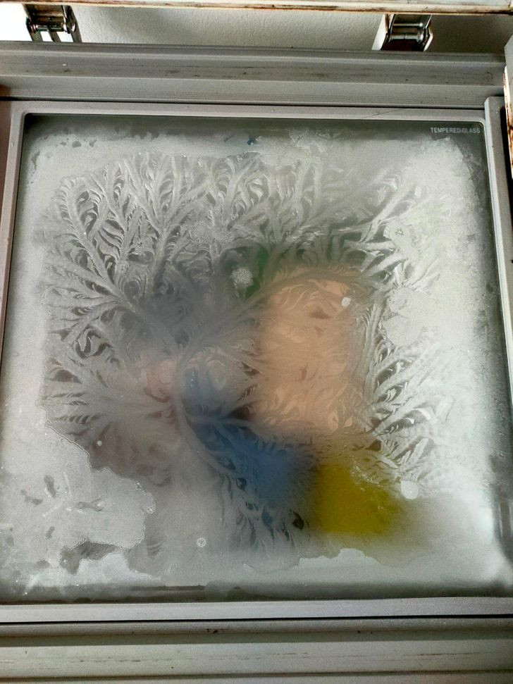 Hình hoa được hình thành trong tủ đông như một "kiệt tác nghệ thuật".