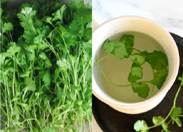 Bạn chỉ cần lấy một nắm rau mùi, rửa sạch, thái nhỏ và bỏ vào ly. Đổ thêm khoảng 200ml nước sôi và đậy kín miệng ly trong 5 phút. Lọc bỏ bã và uống nước lá rau mùi. Mỗi ngày dùng 2 lần, sáng và tối. Ngoài ra, nhai một nắm lá mùi cũng giúp giảm mùi hôi miệng hiệu quả.