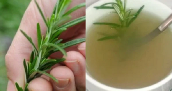 Ngoài ra, bạn có thể lấy tinh dầu hương thảo để tắm. Mỗi lần chỉ cần hòa một chút tinh dầu vào nước tắm vừa giúp cơ thể thư giãn, vừa giúp cơ thể thơm tho. Hoặc bạn có thể hòa 2-3 giọt tinh dầu với một chút nước ấm. Dùng miếng bông gòn thấm vào nước có pha tinh dầu và thoa lên vùng da có nhiều mồ hôi. Ngày làm 2-3 lần sẽ thấy mùi cơ thể được cải thiện đáng kể.