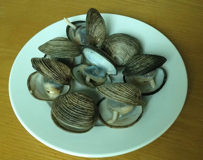 Quảng Ninh - quê hương của nhà vô địch Olympia 2021 Nguyễn Hoàng Khánh - vốn nổi tiếng với nhiều đặc sản hấp dẫn, trong đó phải kể đến các món ăn được chế biến từ ngán biển. Ảnh: Wikipedia.