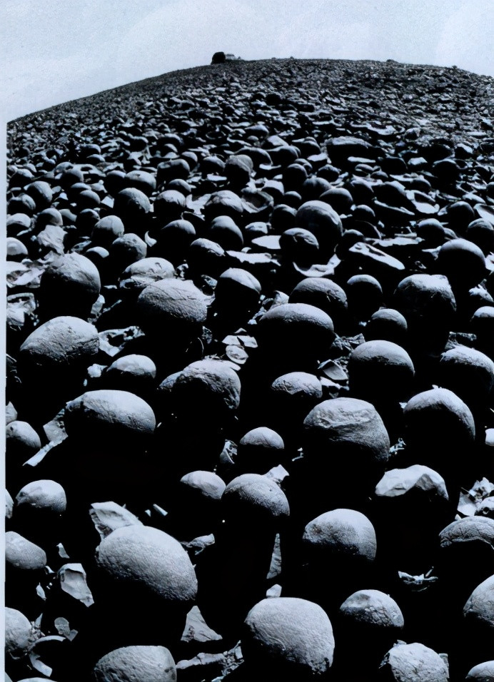 Các chuyên gia vô cùng bất ngờ khi nhìn thấy bên trong những quả cầu đá là một viên sỏi hoặc đá cứng ở giữa giống như quả trứng. Thậm chí, bên trong một vài quả cầu đá là hóa thạch thực vật. Điều này khiến giới nghiên cứu tò mò chúng được tạo thành như thế nào.