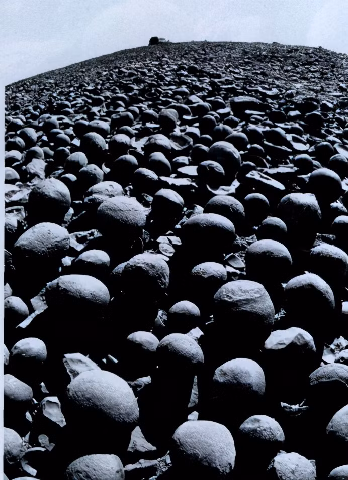 Các chuyên gia vô cùng bất ngờ khi nhìn thấy bên trong những quả cầu đá là một viên sỏi hoặc đá cứng ở giữa giống như quả trứng. Thậm chí, bên trong một vài quả cầu đá là hóa thạch thực vật. Điều này khiến giới nghiên cứu tò mò chúng được tạo thành như thế nào.