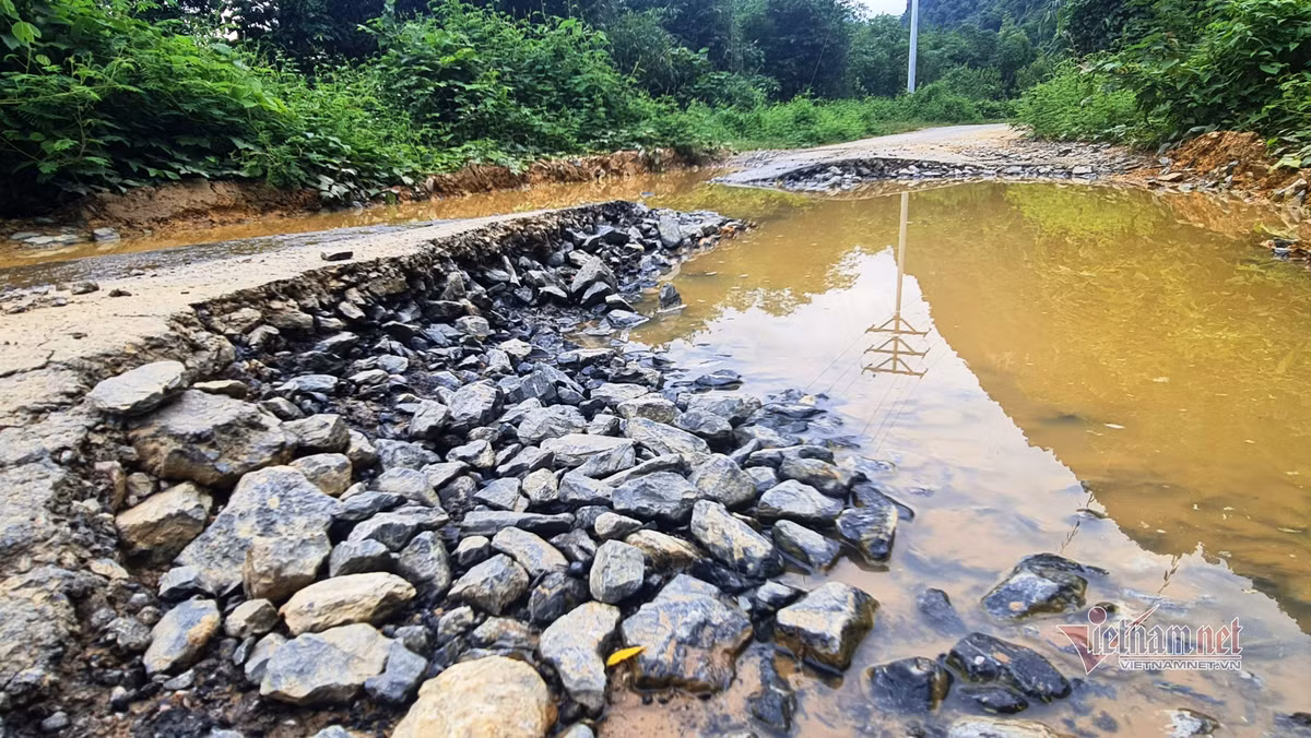 Thanh Hoa: Container thuoc no de ven duong, nguoi dan bat an-Hinh-8