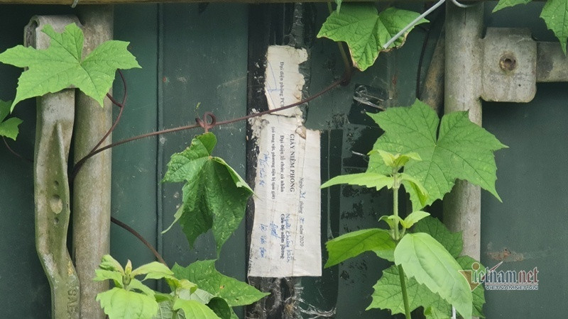 Thanh Hoa: Container thuoc no de ven duong, nguoi dan bat an-Hinh-2