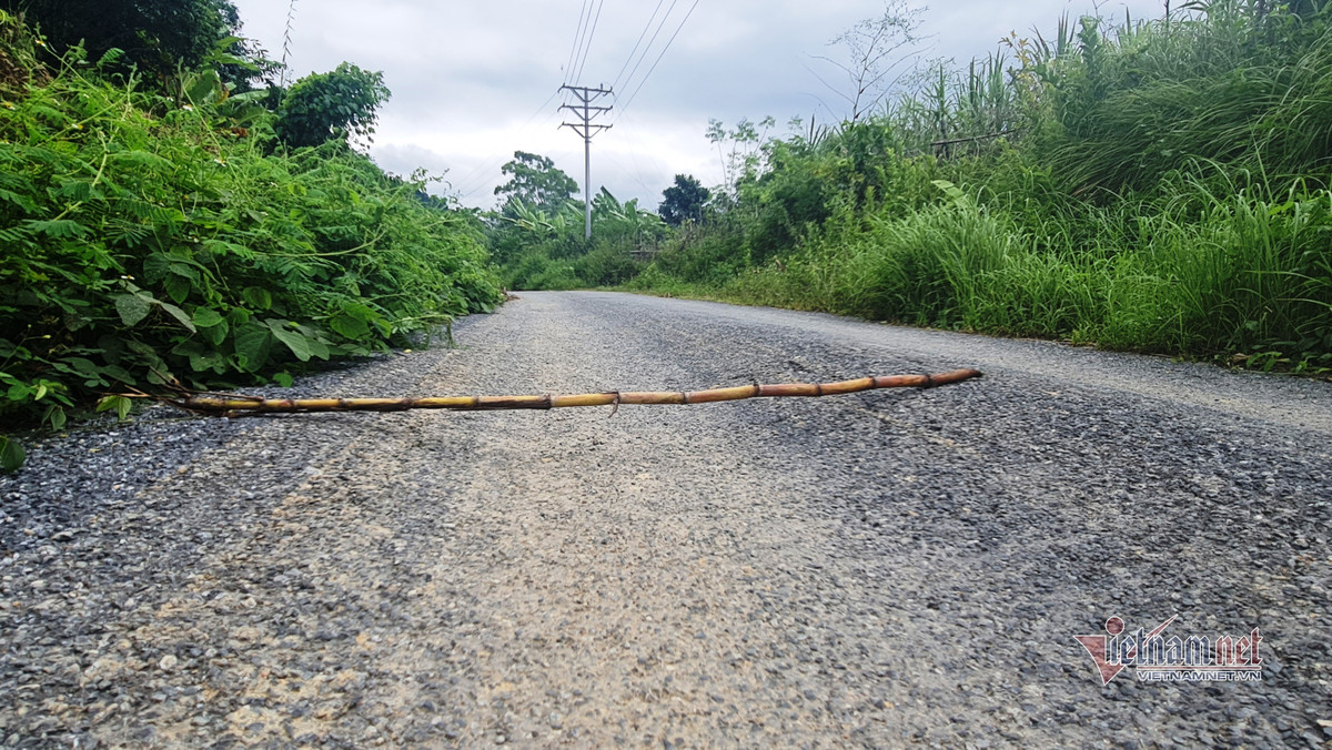Thanh Hoa: Container thuoc no de ven duong, nguoi dan bat an-Hinh-10