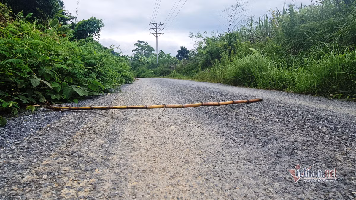 Thanh Hoa: Container thuoc no de ven duong, nguoi dan bat an-Hinh-10