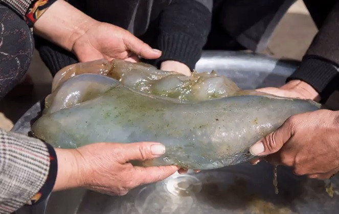 Sau đó, người đàn ông nhờ các chuyên gia giám định và có phát hiện bất ngờ. Dựa trên nghiên cứu của giới chuyên gia, vật thể lạ trên thực sự là một báu vật quý hiếm.