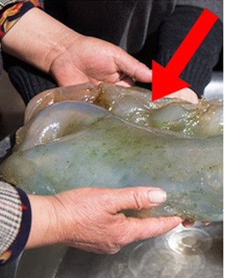 "Thịt cỏ linh chi hoang dã" là một khối vật thể chứa các loại vi khuẩn, chất nhờn, nấm... Thảo dược quý hiếm này do vi khuẩn, dính khuẩn, chân khuẩn tạo thành.