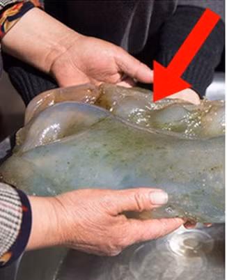 "Thịt cỏ linh chi hoang dã" là một khối vật thể chứa các loại vi khuẩn, chất nhờn, nấm... Thảo dược quý hiếm này do vi khuẩn, dính khuẩn, chân khuẩn tạo thành.