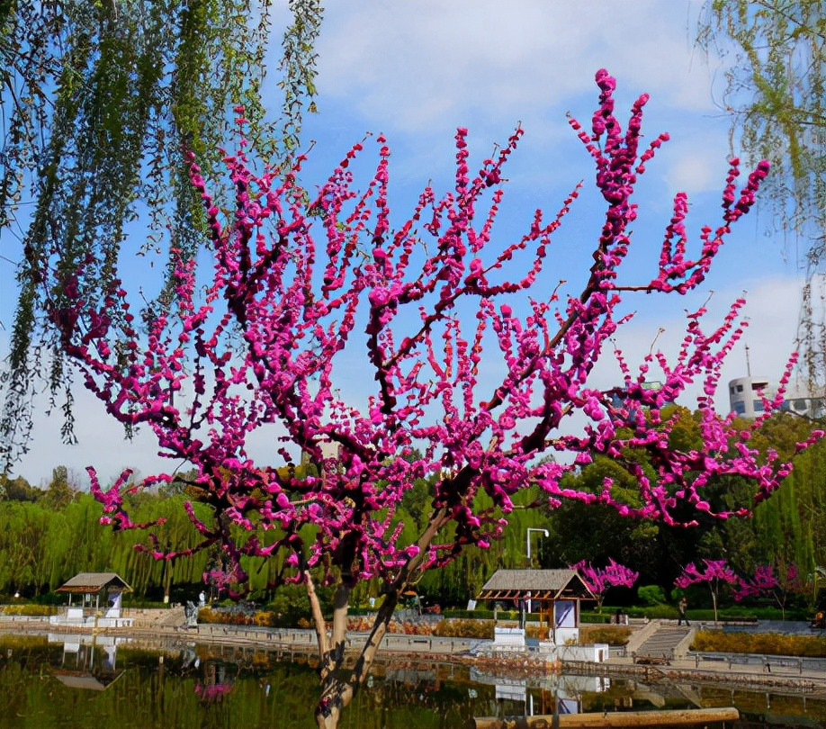 Nguoi sinh vao nhung ngay Am lich nay lam gi cung gioi