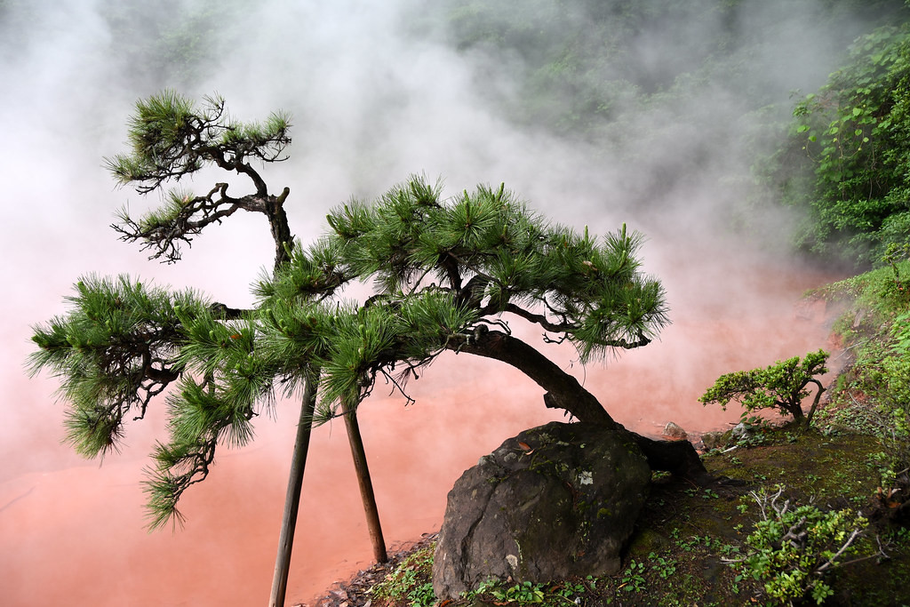 Hơi nước bốc lên từ suối nước nóng Chinoike Jigoku khiến nhiều người đứng từ xa trông giống như nơi đó đang bốc cháy.