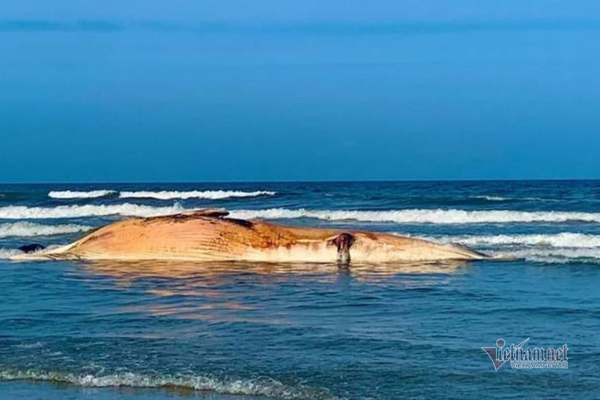 Đây còn là dịp để ngư dân động viên nhau bám biển, giúp người dân địa phương gần gũi nhau hơn, đoàn kết, xây dựng nếp sinh hoạt văn hóa đầy ý nghĩa. Ảnh: Vietnamnet.
