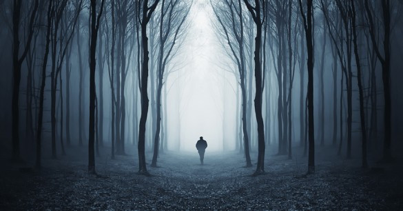 Mỗi lần xuất hiện, quái vật Bennington gây kinh hãi bởi tiếng gầm đáng sợ. Sau đó, nó để lại một số dấu chân lớn trên mặt đất và biến mất. Từ đây, một giả thuyết cho rằng sinh vật bí ẩn này có thể là thủ phạm gây ra các vụ mất bí ẩn của người leo núi. Thế nhưng, các chuyên gia chưa tìm được chứng cứ xác thực giúp chứng minh giả thuyết này.