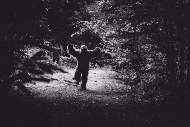 Theo lời kể của các nhân chứng, quái vật Bennington thoắt ẩn thoắt hiện trong rừng sâu. Toàn thân sinh vật này phủ lớp lông dày và có cơ thể to lớn như Bigfoot.