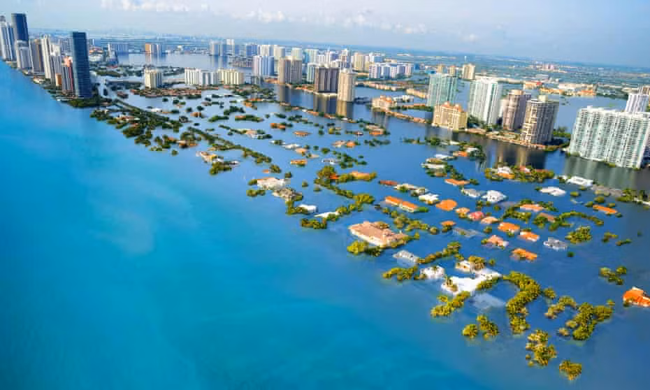 Để đưa ra dự báo này, các chuyên gia thu thập dữ liệu và hình ảnh từ Google Earth, cho phép minh họa chính xác mực nước trong tương lai ở hơn 200 địa điểm ven biển trên thế giới.
