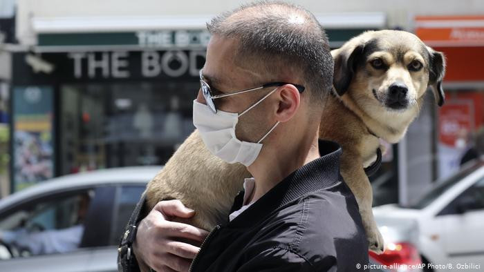 Trên thực tế, Tổ chức Y tế Thế giới (WHO) từng cho biết tính đến thời điểm hiện tại không có bất kỳ bằng chứng khoa học nào cho thấy động vật có vú, trong đó bao gồm chó, mèo, có thể lây nhiễm SARS-CoV-2 cho con người.