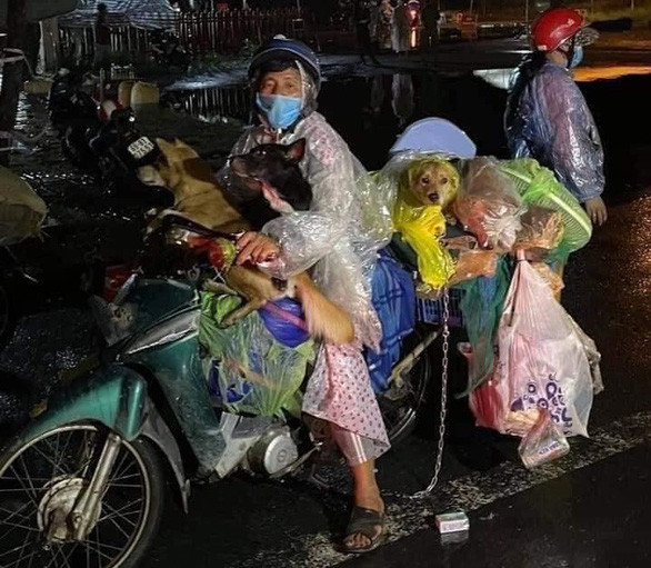 Vụ 15 chú chó tại Cà Mau bị tiêu hủy trở thành vấn đề "nóng" thu hút sự quan tâm của dư luận trong những ngày qua. Những con vật này bị tiêu hủy sau khi có kết quả 5 người trong đoàn về Cà Mau mắc COVID-19.