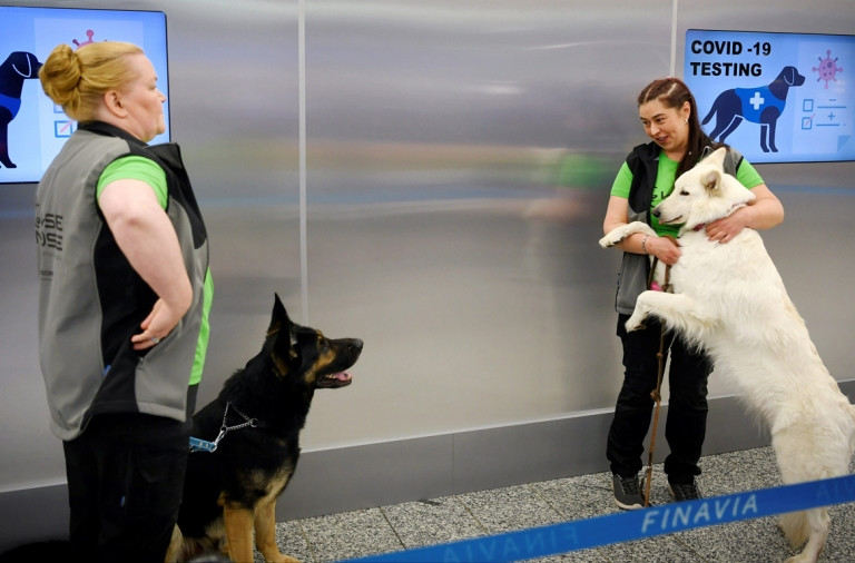 Có chung quan điểm, Trung tâm Kiểm soát và Phòng ngừa dịch bệnh Mỹ (CDC Mỹ) cho biết không có bằng chứng nào cho thấy vật nuôi, trong đó bao gồm chó, mèo, có thể làm lây lan SARS-CoV-2 sang người.