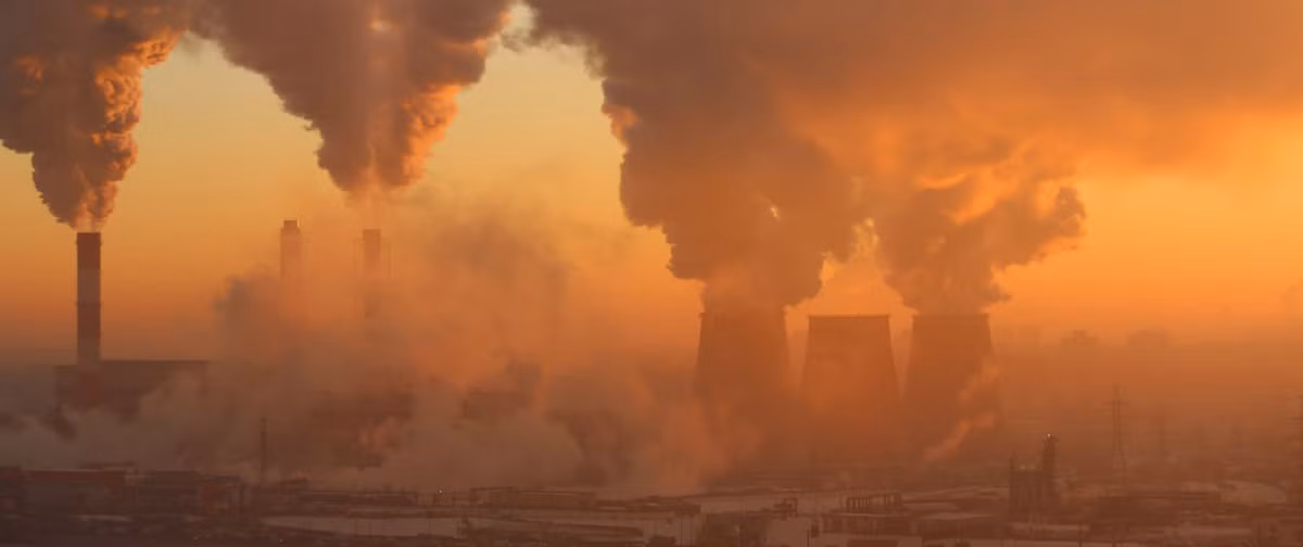 Để ngăn không xảy ra thảm họa diệt vong năm 2100, các chuyên gia nỗ lực kêu gọi các nước cắt giảm lượng khí thải carbon cũng như thực hiện nhiều giải pháp bảo vệ môi trường.