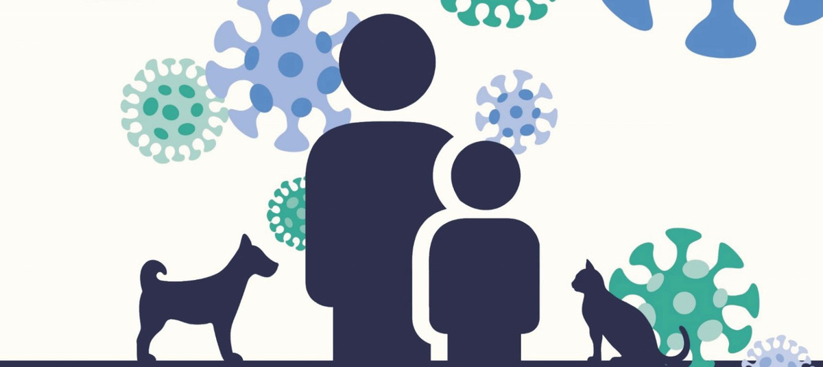 Từ đây, nhóm nghiên cứu cho hay các biện pháp tiêu hủy quy mô lớn từng được thực hiện như đối với chồn nuôi ở Hà Lan là bất khả thi với động vật hoang dã.