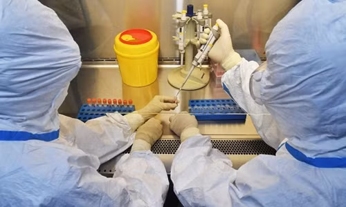 Ông Gao Fu - Giám đốc Trung tâm Kiểm soát và Phòng chống Dịch bệnh Trung Quốc (CDC) là tác giả chính của báo cáo cho biết một số loài động vật đã được phát hiện nguy cơ dễ mắc Covid-19 và virus Sars-CoV-2 có khả năng tiếp tục đột biến ở những động vật này ví dụ như loài chồn.