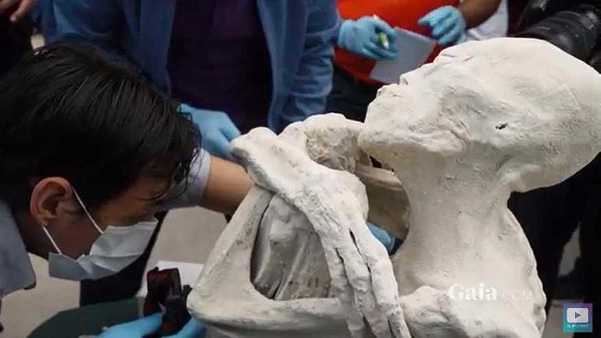 Một xác ướp lạ được tìm thấy ở Nazca, Peru trở thành bí ẩn lớn của thế giới khi ẩn chứa những bí mật khó giải. Nguyên do là bởi xác ướp này có hình dáng giống con người nhưng có những chi tiết bất thường trên cơ thể.