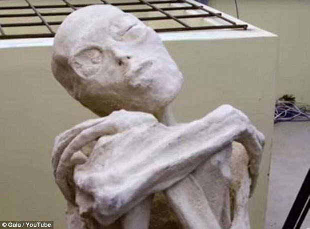 Cụ thể, xác ướp kỳ dị này có hộp sọ dài và bàn tay, bàn chân có 3 ngón. Những đặc điểm này khác hoàn toàn so với con người.