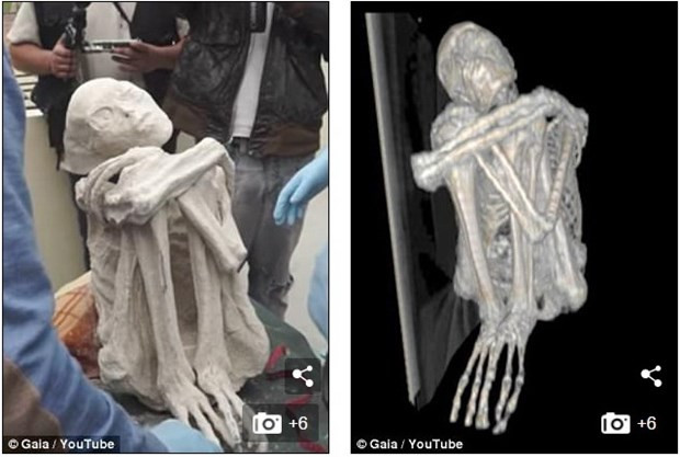 Đây chỉ là giả thuyết. Đến nay, giới khoa học vẫn chưa thể giải mã thành công bí ẩn về xác ướp có nhiều điểm lạ thường trên.