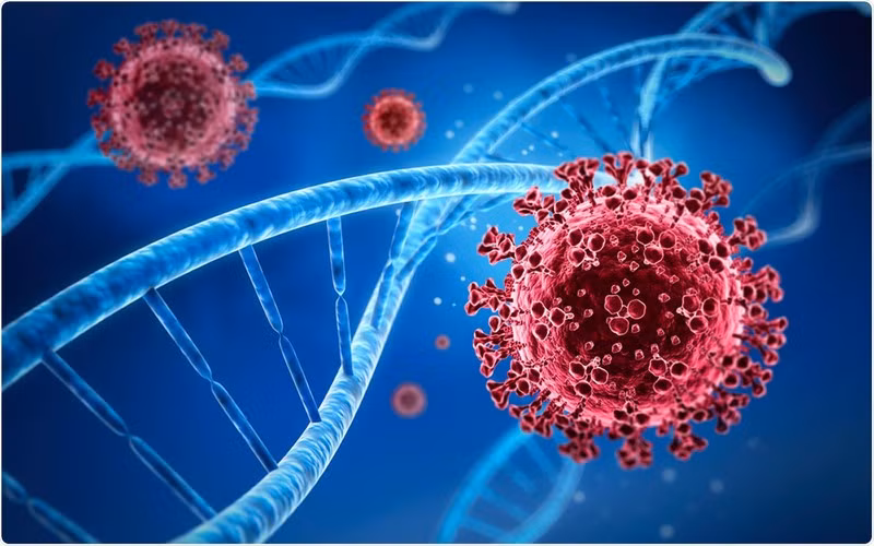 Ông Andeakos cho hay chúng ta không có nhiều thông tin về những người bẩm sinh kháng virus SARS-CoV-2. Song điều này không có nghĩa nó không tồn tại. Thế giới đã ghi nhận một số trường hợp như vậy trong một gia đình.