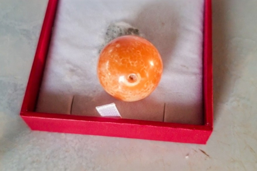 Ngọc Melo có giá trị cao như vậy là vì nó được hình thành bên trong ốc giác (ốc hoàng đế, tên khoa học là Melo Melo).