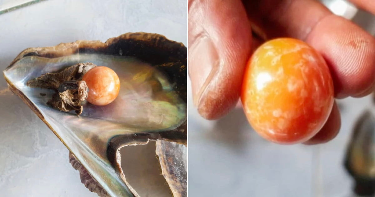 Một khi bán được viên ngọc Melo màu cam với giá cao, ông Hatchai và gia đình tin rằng sẽ có cuộc sống tốt hơn.