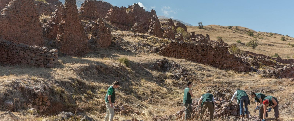 Bên cạnh 29 thi hài, các nhà khảo cổ còn tìm thấy phần còn lại của những con lạc đà, chuột lang. Những động vật này cũng có dấu hiệu về việc bị đem hiến tế.