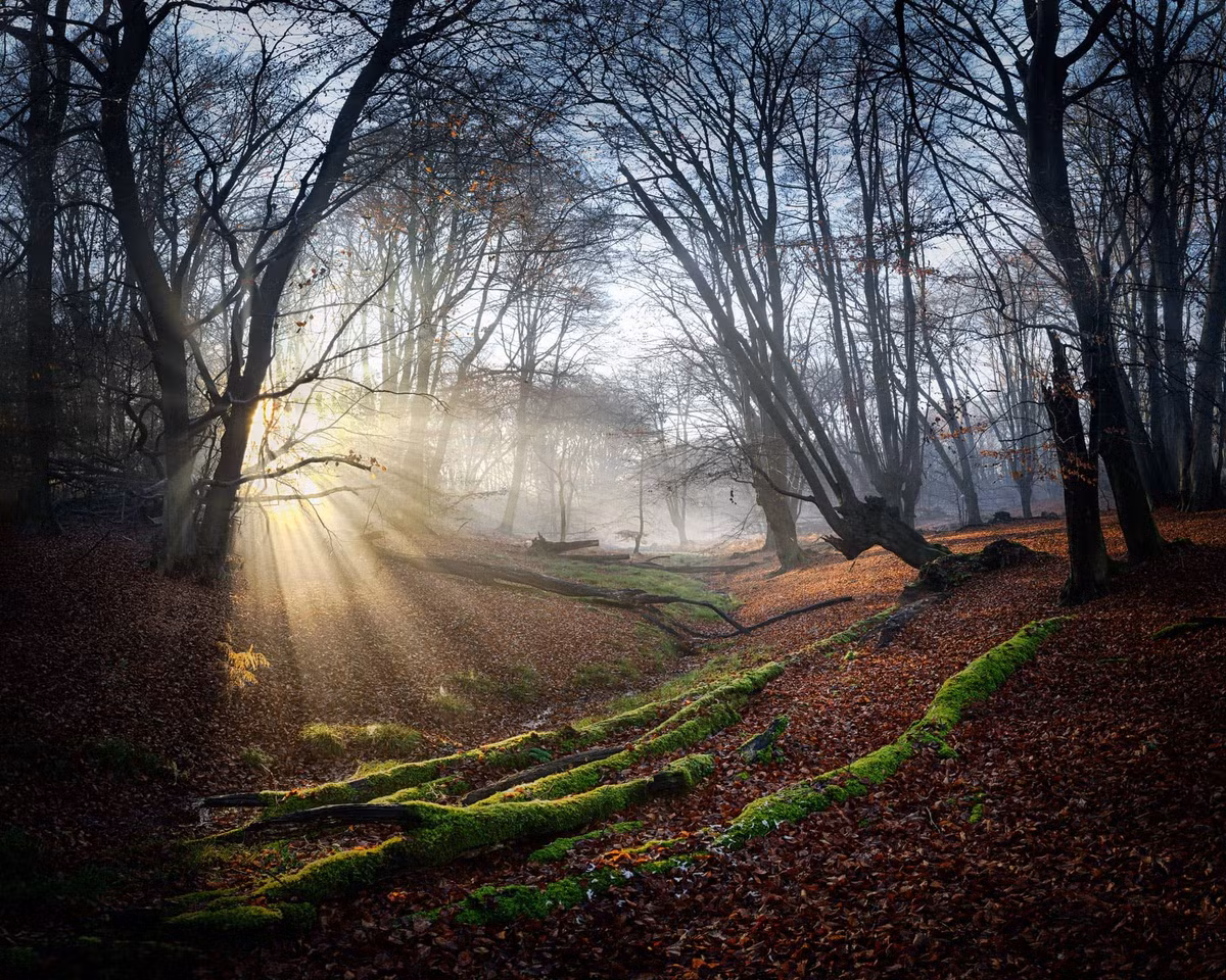 Trong số này có việc một số người kể rằng đã nghe thấy những âm thanh ma quái không biết bắt nguồn từ đâu.