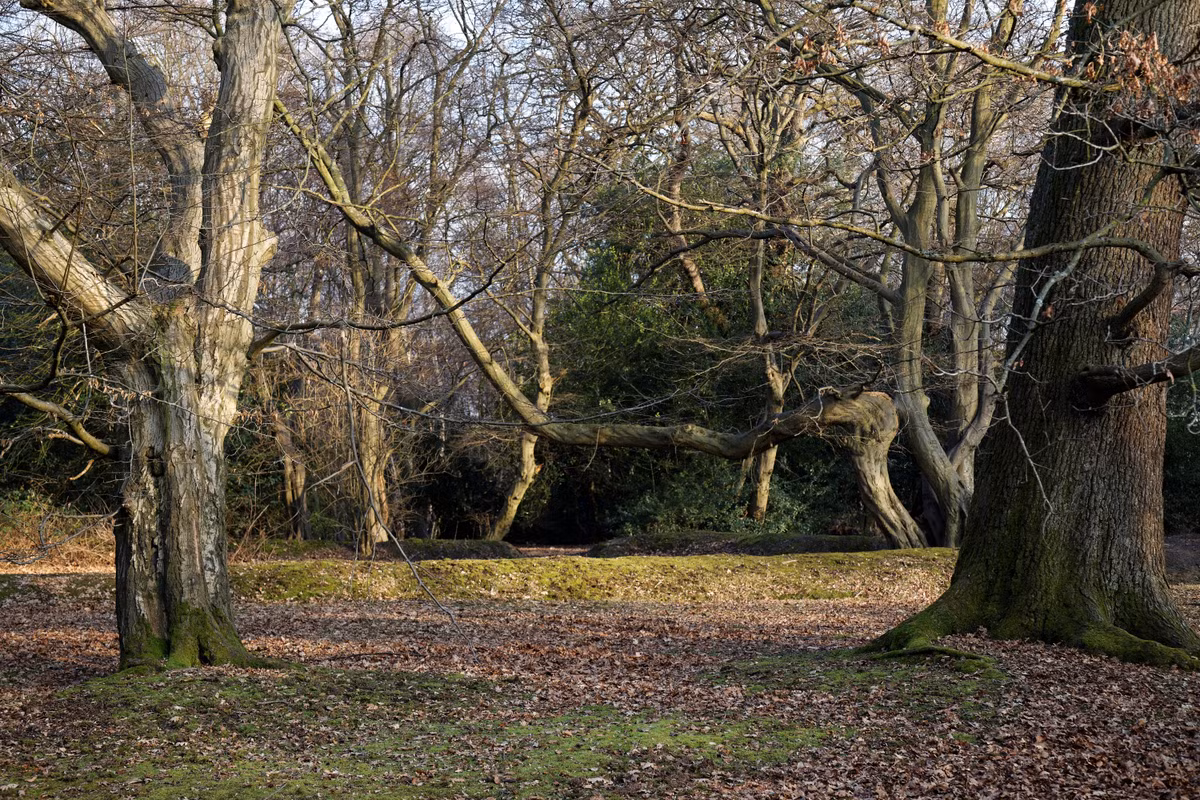 Notorious sống ẩn dật bên trong khu rừng vào đầu những năm 1700. Do thông thuộc địa hình khu rừng Epping nên gã quyết định chọn làm địa điểm gây án và giấu xác.