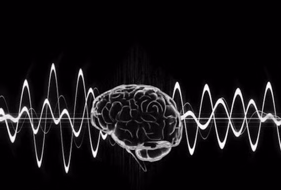 Thậm chí, một số người tham gia thí nghiệm là nhân viên CIA, bác sĩ, người dân bình thường... không hề hay biết mục đích thực sự của dự án MKUltra. Bệnh nhân tâm thần, tù nhân, người nghiện ma túy và gái mại dâm là những nhóm đối tượng được lựa chọn nhiều nhất tham gia các thí nghiệm thao túng tâm trí của CIA.