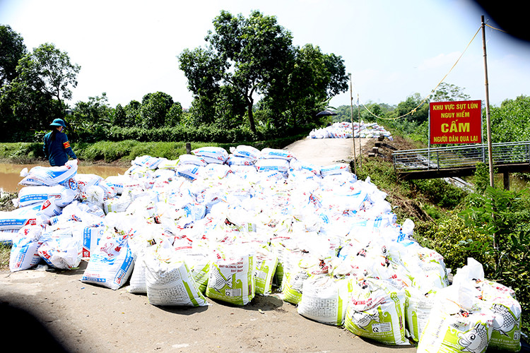 Sụt lún nghiêm trọng tại nhiều điểm đê ở Hà Nội - Hình 5 Sut lun nghiem trong tai nhieu diem de o Ha Noi-Hinh-5